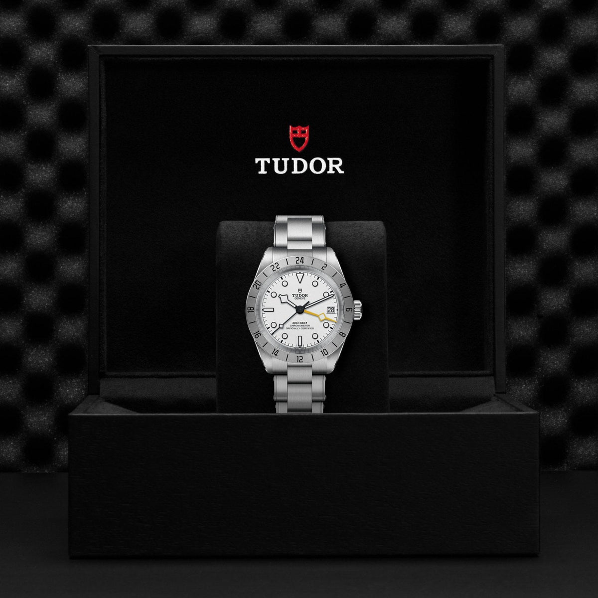 Tudor Black Bay Pro — photo 5 of 5