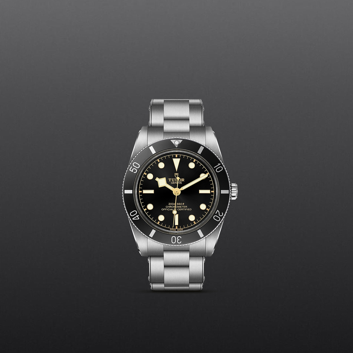 M79000N-0001 - Tudor Black Bay 54 – H.L. Gross