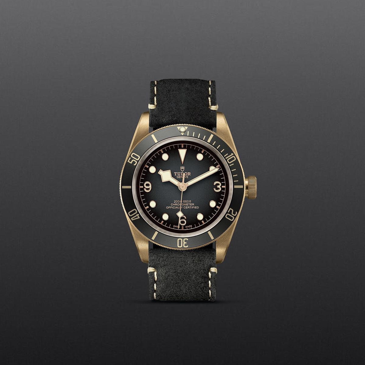M79250BA-0001 - Tudor Black Bay BRONZE – H.L. Gross
