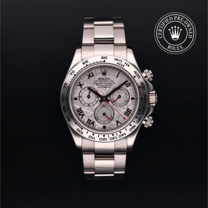 2007, 40 mm, White Gold



