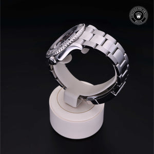 2016, 40 mm, Oystersteel/Platinum


