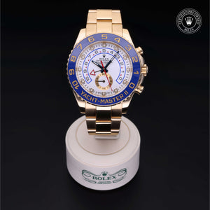 2013, 44 mm, Yellow Gold


