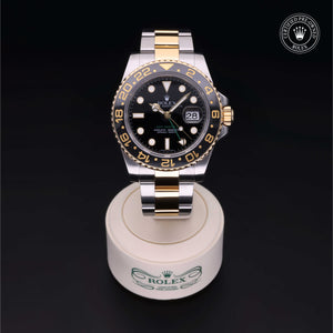 2009, 40 mm, Oystersteel/Yellow Gold


