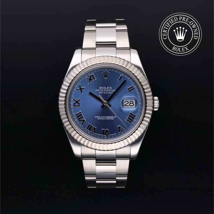2011, 41 mm, Oystersteel/White Gold



