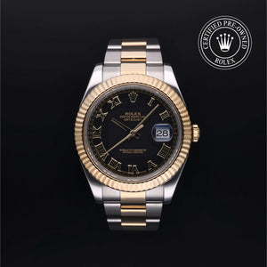 2015, 41 mm, Oystersteel/Yellow Gold


