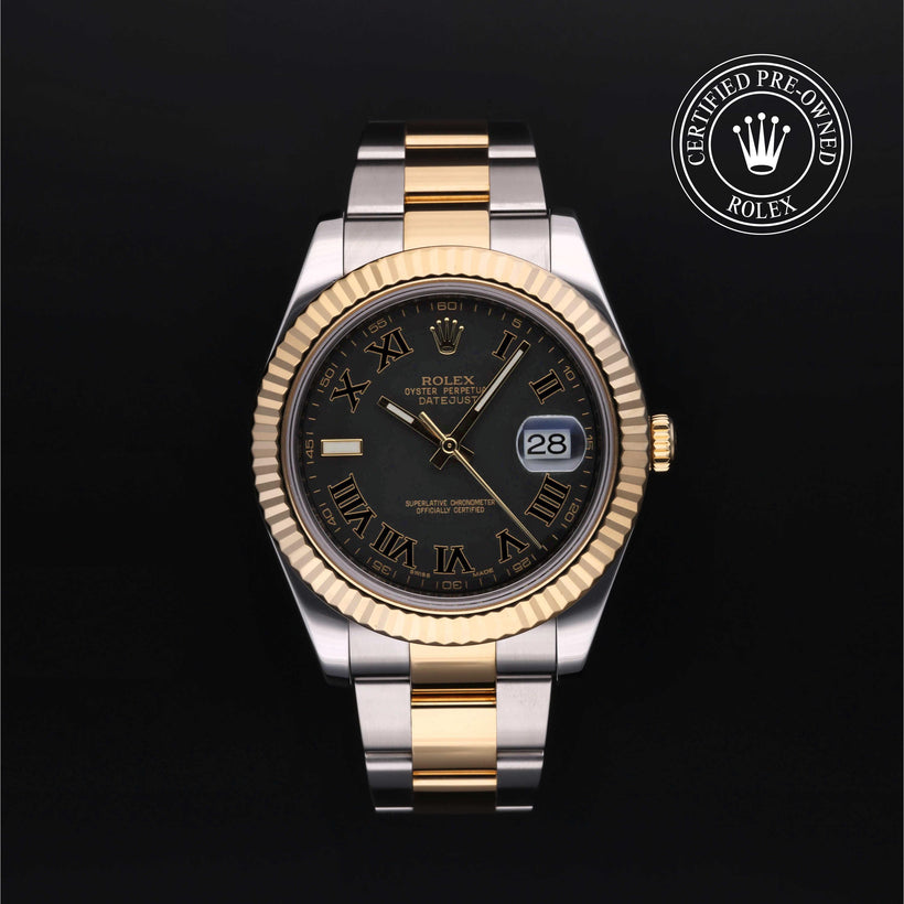 2011, 41 mm, Oystersteel/Yellow Gold


