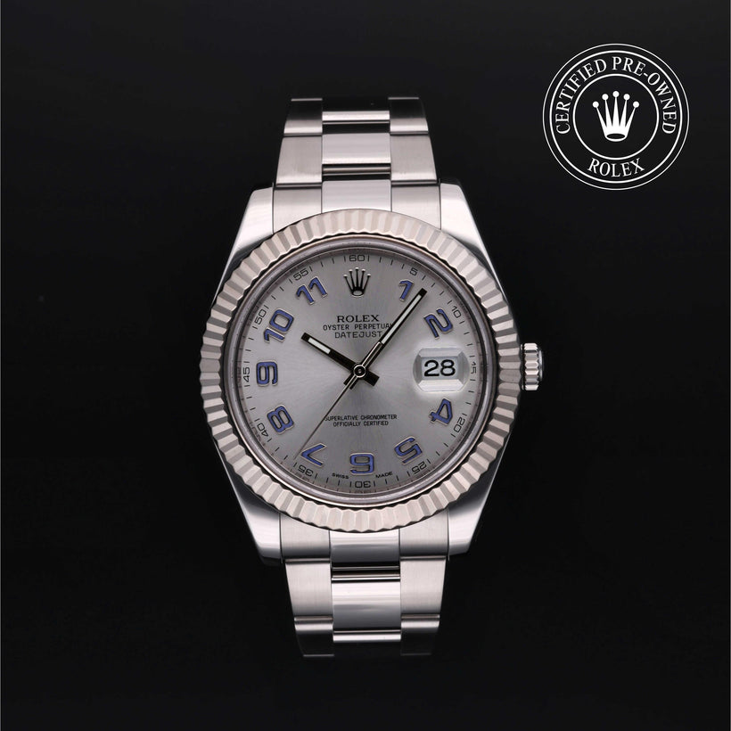 2011, 41 mm, Oystersteel/White Gold


