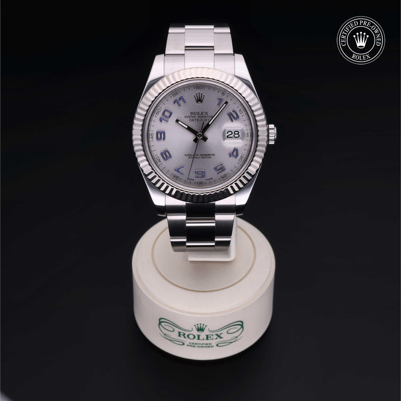 2011, 41 mm, Oystersteel/White Gold


