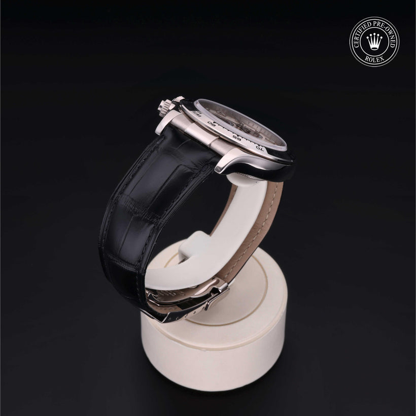 2009, 40 mm, White Gold


