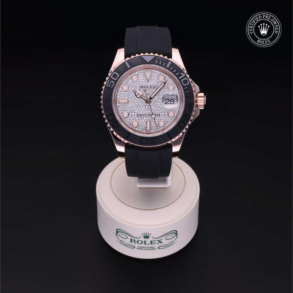 Yacht-Master