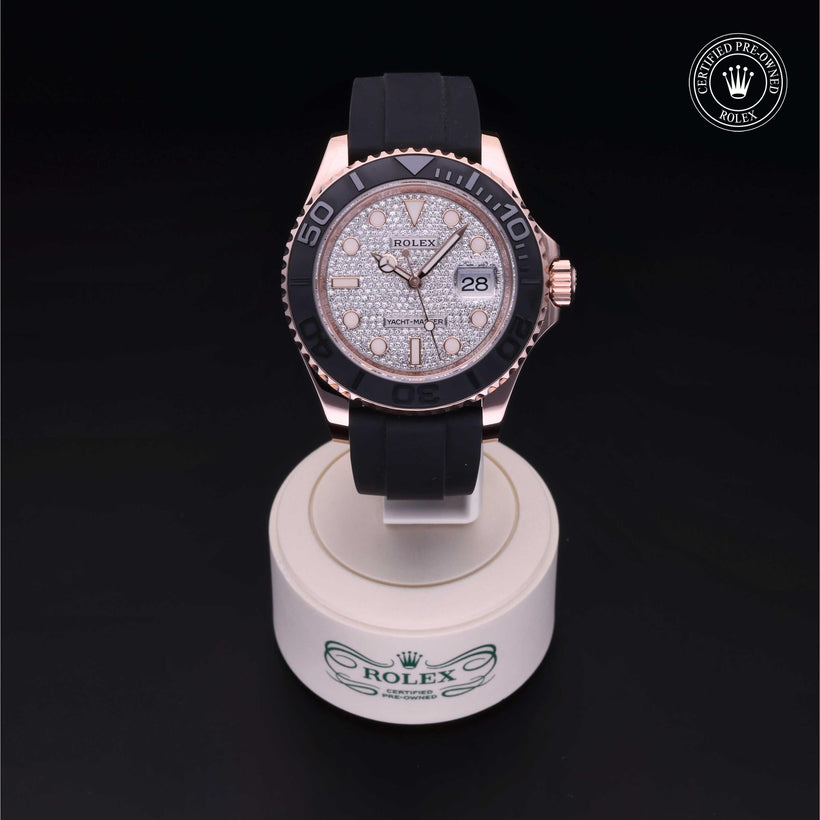 2021, 40 mm, Everose Gold


