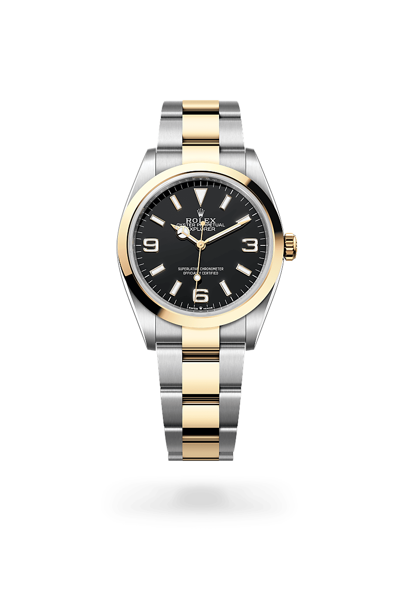 Explorer 36-M124273-0001