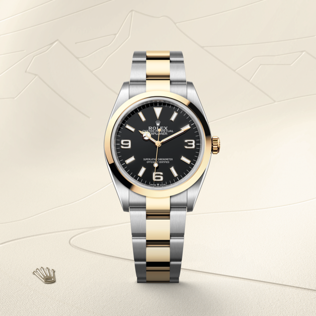 Rolex Explorer in Yellow Rolesor - combination of Oystersteel and yellow gold, M124273-0001 - H.L. Gross Jewelers