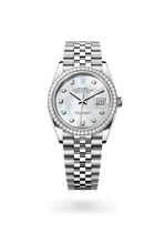 Oyster, 36 mm, Oystersteel, white gold and diamonds