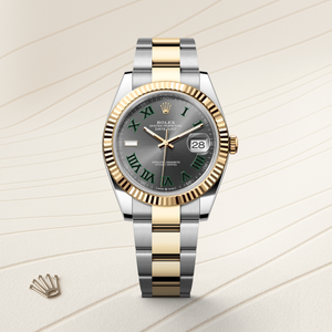 Rolex Datejust in Oystersteel and gold, M126333-0019 | H.L. Gross