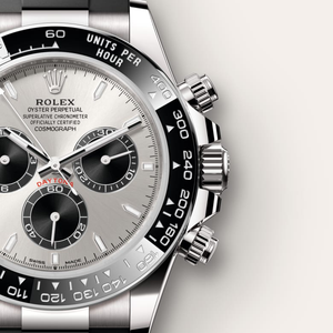 Rolex Cosmograph Daytona in 18 ct white gold, M126519LN-0006 - H.L. Gross Jewelers
