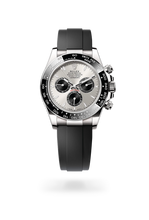 Oyster, 40 mm, white gold