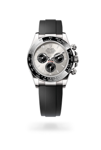 Rolex Cosmograph Daytona in 18 ct white gold, M126519LN-0006 - H.L. Gross Jewelers