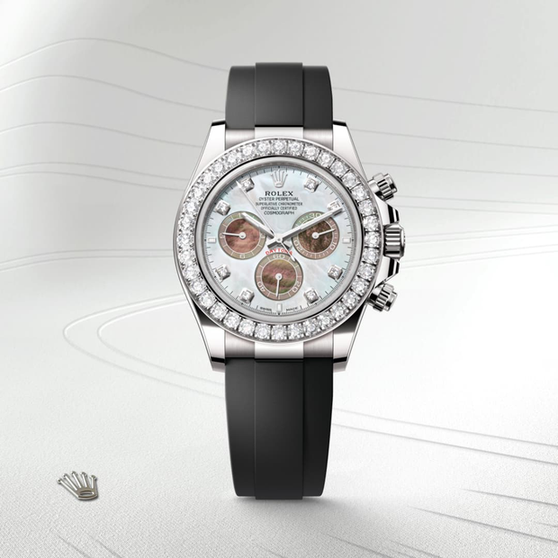 Oyster, 40 mm, white gold and diamonds