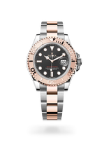Oyster, 40 mm, Oystersteel and Everose gold