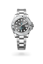 Oyster, 40 mm, Oystersteel and platinum