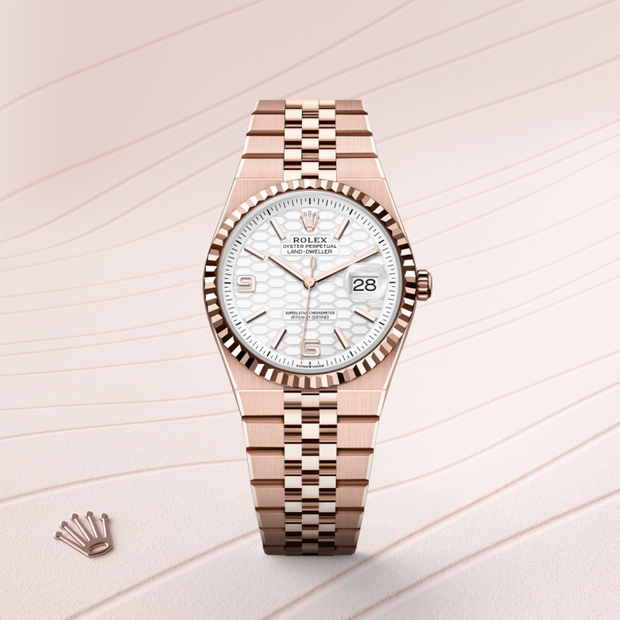 Oyster, 36 mm, Everose gold