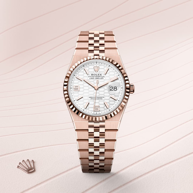 Rolex Land-Dweller in 18 ct Everose gold, M127235-0001 - H.L. Gross Jewelers
