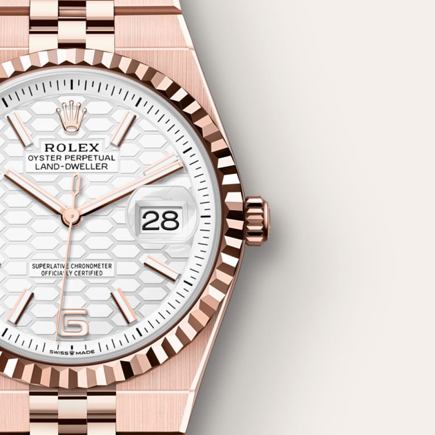 Rolex Land-Dweller in 18 ct Everose gold, M127235-0001 - H.L. Gross Jewelers