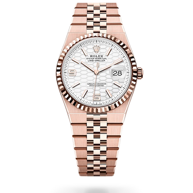 Rolex Land-Dweller in 18 ct Everose gold, M127235-0001 - H.L. Gross Jewelers