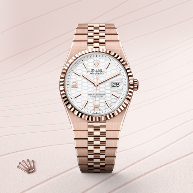 Rolex Land-Dweller in 18 ct Everose gold, M127335-0001 - H.L. Gross Jewelers