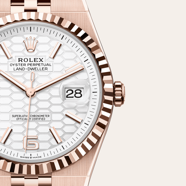 Rolex Land-Dweller in 18 ct Everose gold, M127335-0001 - H.L. Gross Jewelers