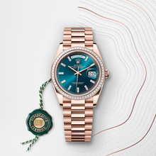 Oyster, 36 mm, Everose gold and diamonds
