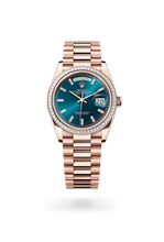 Oyster, 36 mm, Everose gold and diamonds