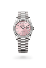 Oyster, 36 mm, white gold and diamonds