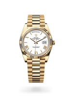Oyster, 40 mm, yellow gold