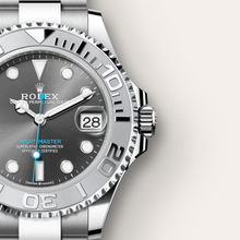 Oyster, 37 mm, Oystersteel and platinum