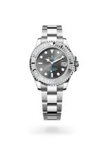 Oyster, 37 mm, Oystersteel and platinum