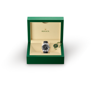 Rolex Collection in 18 ct white gold, M336239-0002 - H.L. Gross Jewelers
