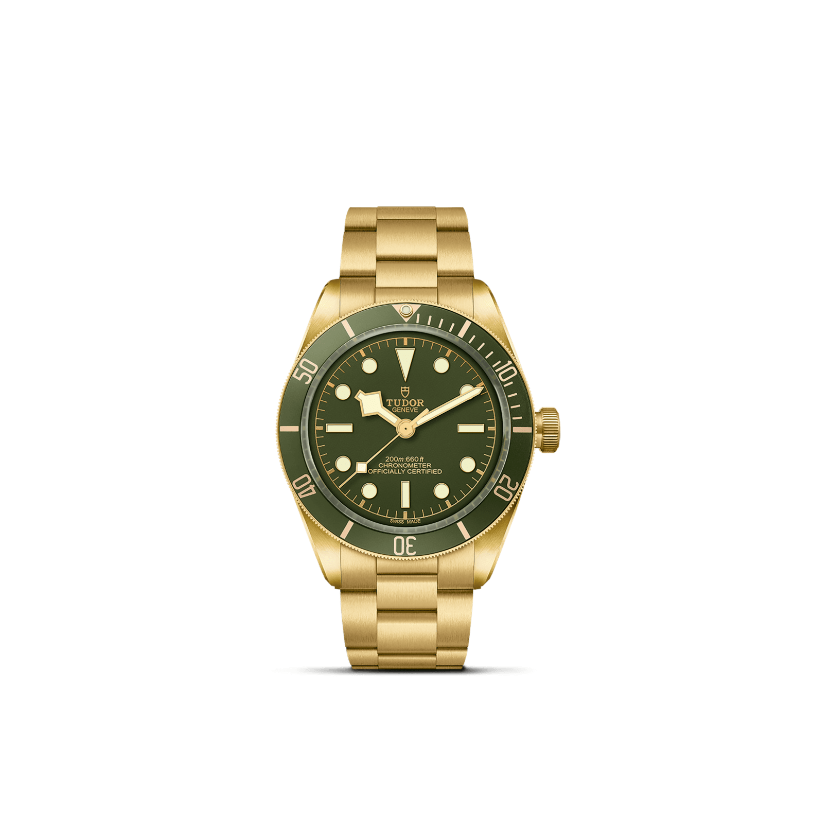 Tudor Black Bay 58 18K-M79018V-0006