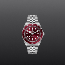 Tudor Black Bay 58