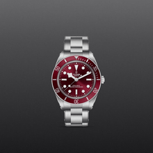 Tudor Black Bay 58
