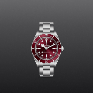 Tudor Black Bay 58