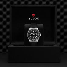 Tudor Black Bay