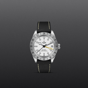 Tudor Black Bay Pro