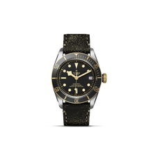 Tudor Black Bay S&G