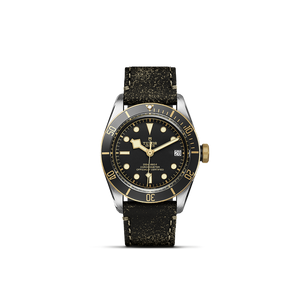 Tudor Black Bay S&G