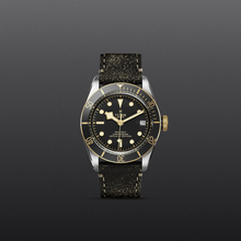 Tudor Black Bay S&G