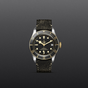 Tudor Black Bay S&G