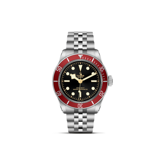 Tudor Black Bay — photo 1 of 5