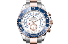 Oyster, 44 mm, Oystersteel and Everose gold